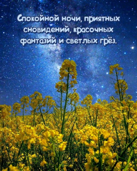 Спокойной весенней ночи