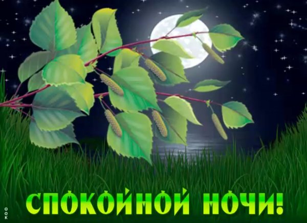 Открытки спокойной ночи с природой