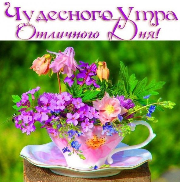 Доброго утра и хорошеготнастроения