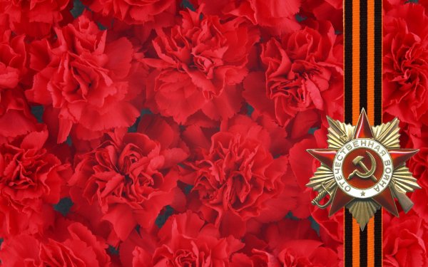 Георгиевская лента с цветами