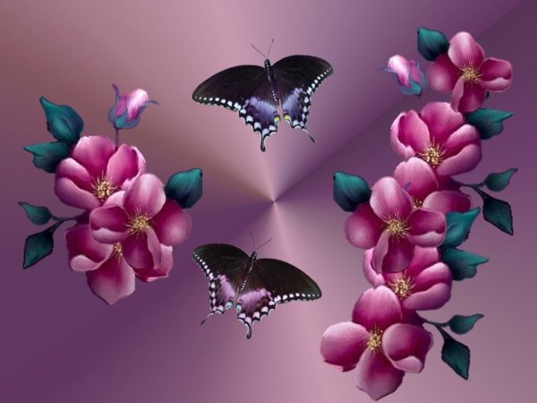 Фотообои бабочки