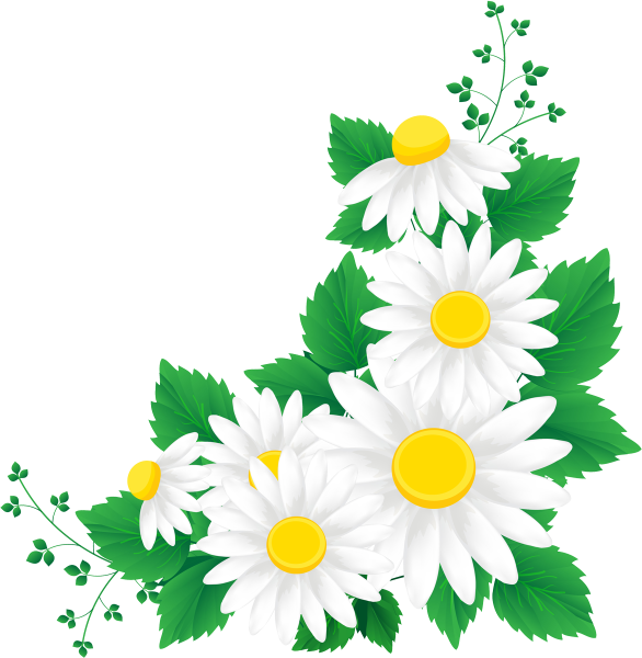 Ромашка для детей