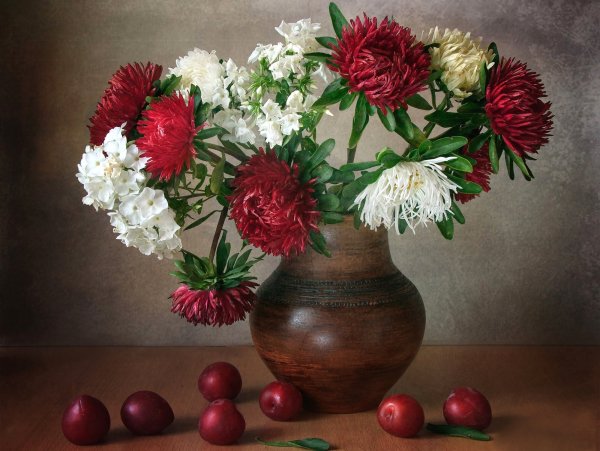 Букет астры Флоксы