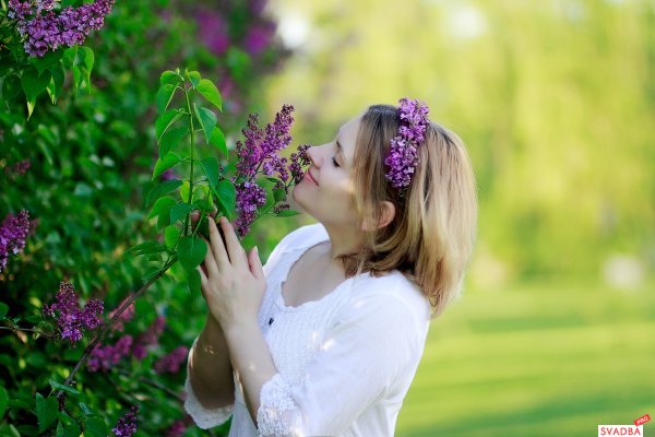 Нина Марченко одинокая ветка сирени