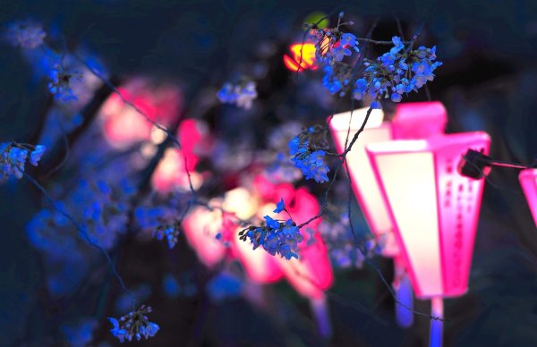 Фонарь «цветок»