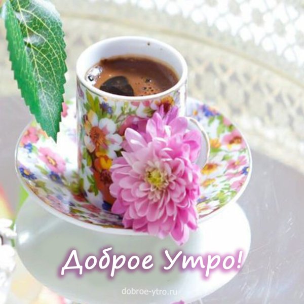Доброе утро желтые тюльпаны