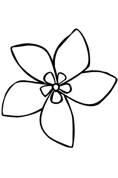 Формы цветов для рисования