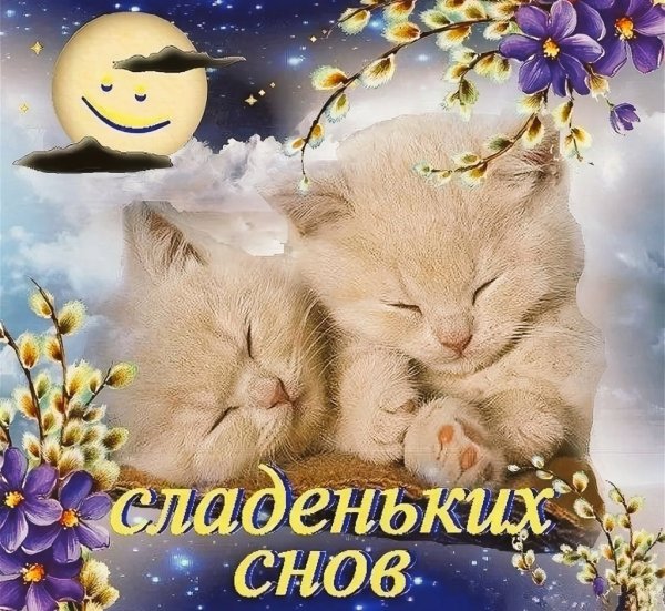 Спокойной ночи сладких снов