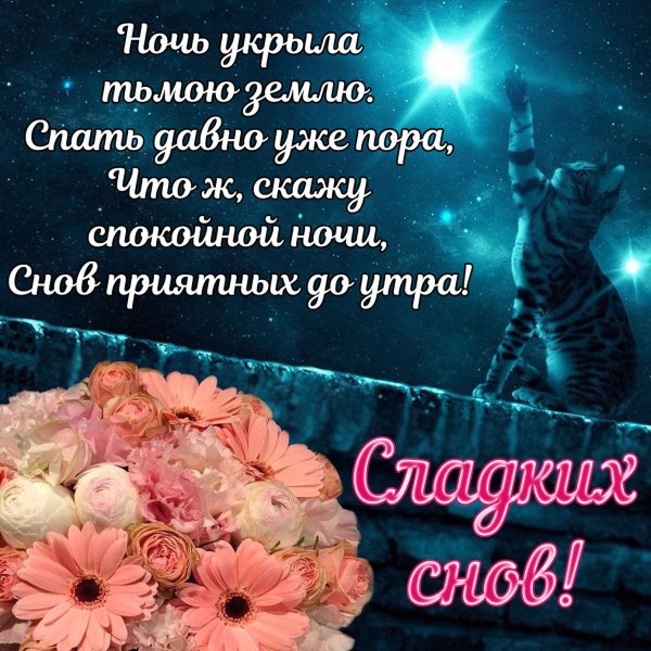Пожелания спокойной ночи