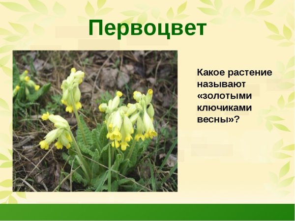 Обучающие плакаты для детского сада