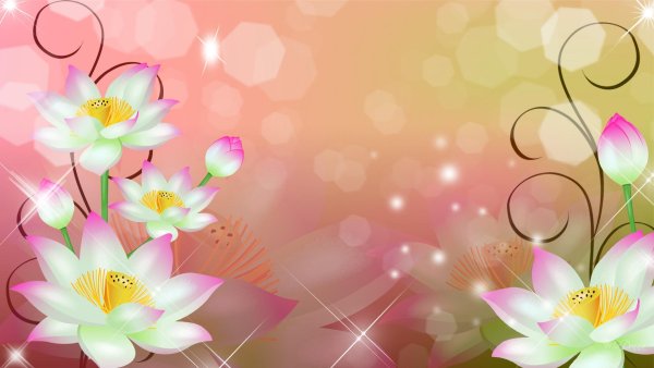 Колокольчик Кампанула Lilac