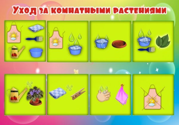 Алгоритм дежурства в уголке природы в детском саду