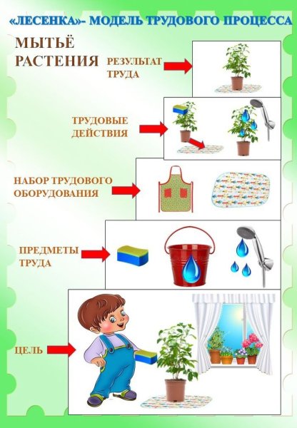 «Мытье комнатных растений»», схема