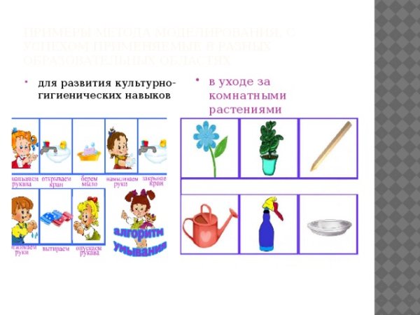 Алгоритм ухаживания за растениями в детском саду