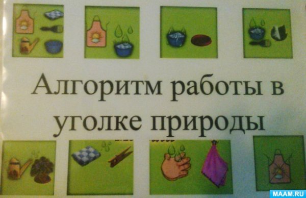 Алгоритм дежурства в уголке природы