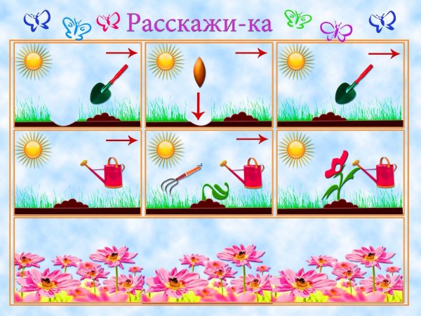 Алгоритм посадки растений