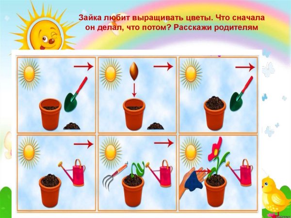 Алгоритм посадки цветов для детей