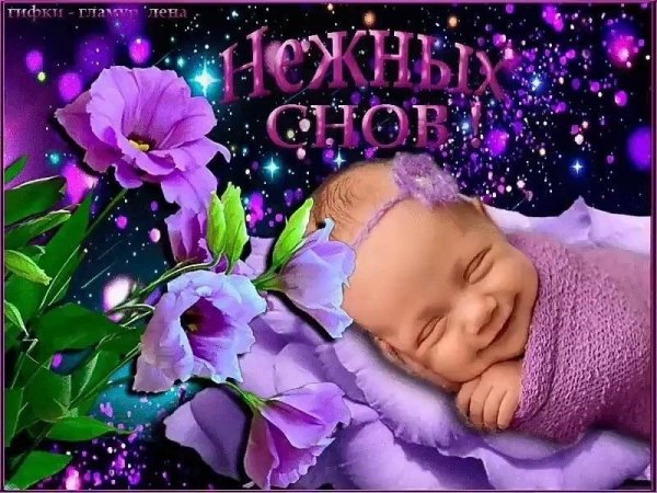 Спокойной ночи сладких снов