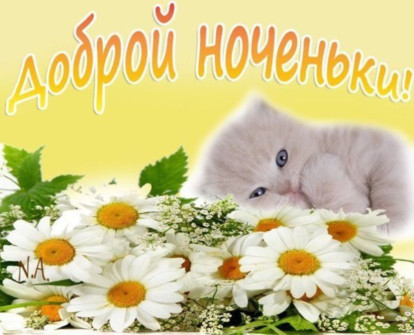 Открытки спокойной ночи