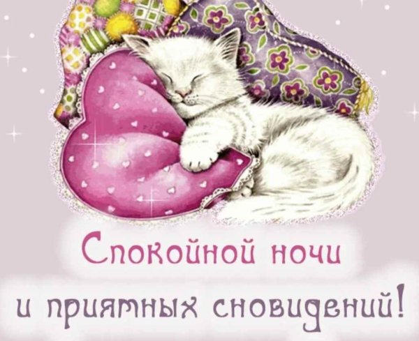 Спокойной ночи сладких снов приятных
