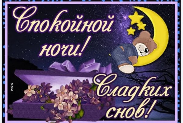 Спокойной ночи сладких снов