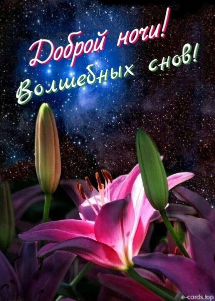 Спокойной ночи мама