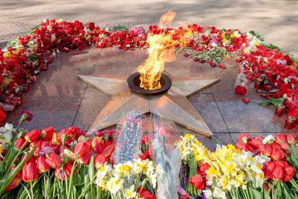 Тюльпаны 9 мая
