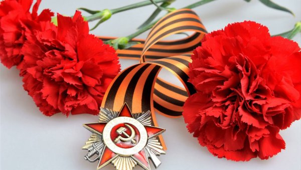 Гвоздики 9 мая