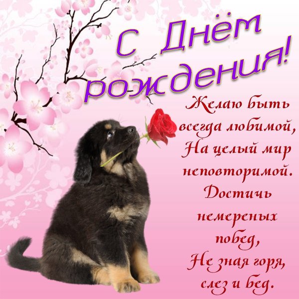 С днём рождения живые цветы пожелания
