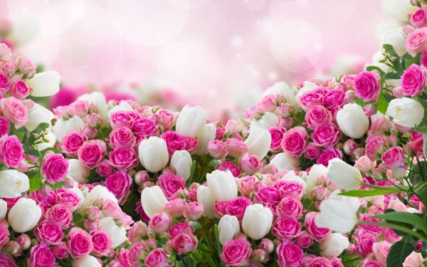 Поздравления с днём рождения Алла
