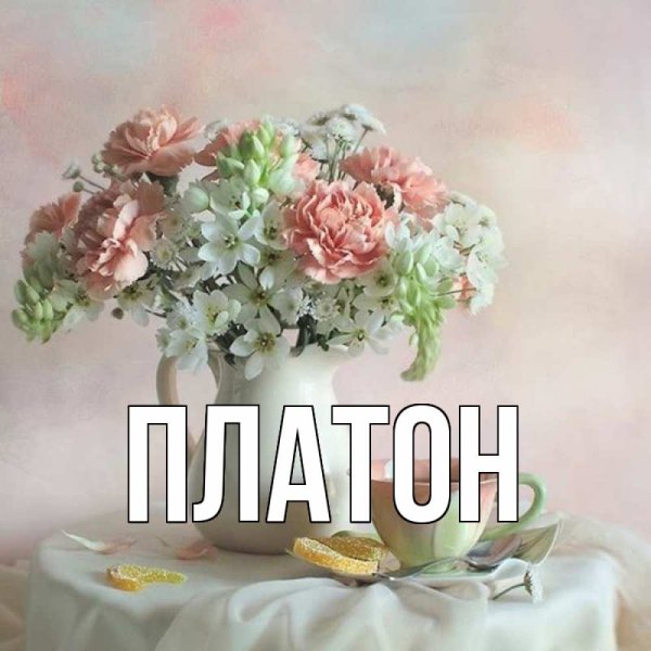 Поздравления с днём рождения Нася