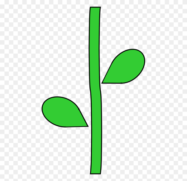 Цветок на стебле