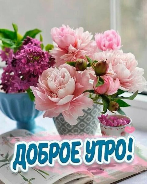 Доброе утро с пионамиами