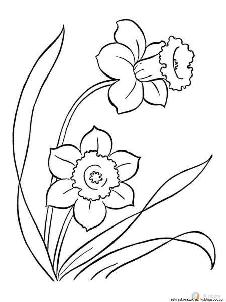 Весенние цветы раскраска