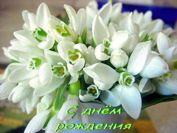С днём рождения весенние цветы