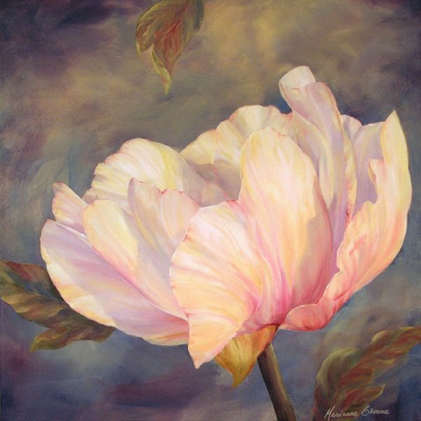 Пионы Marianne Broome