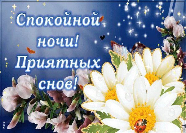 Открытки спокойной ночи с ромашками
