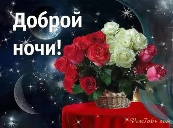 Спокойной ночи гиф