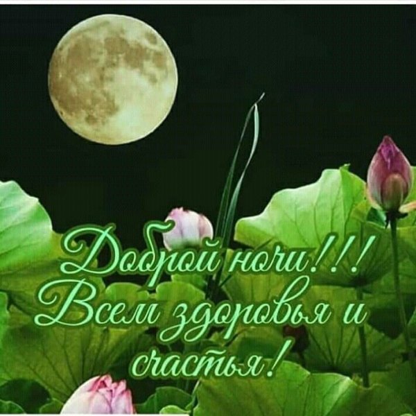 Спокойной ночи до завтра