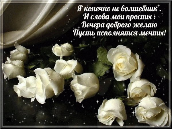 Вечерние цветы девушке