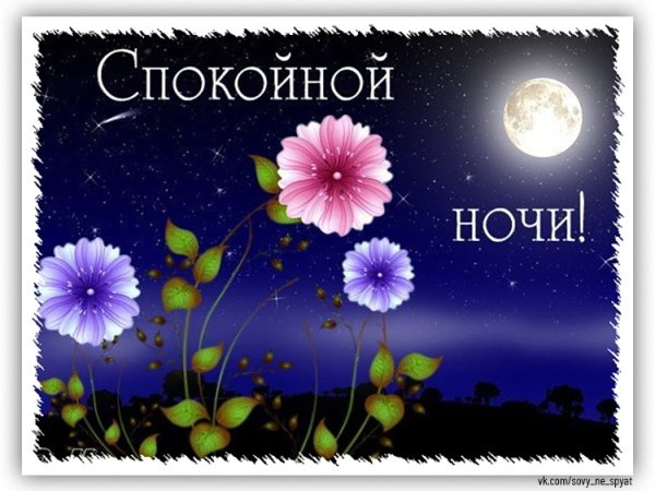 Стикер спокойной ночи цветы