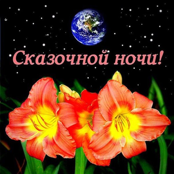 Спокойной ночи женщине цветы