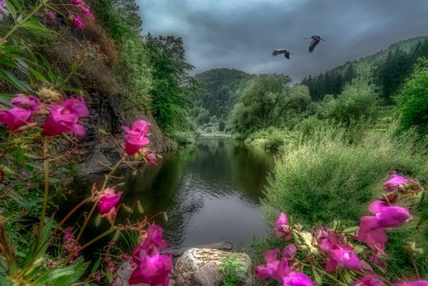 Красота природы