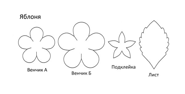 Цветок яблони раскраска
