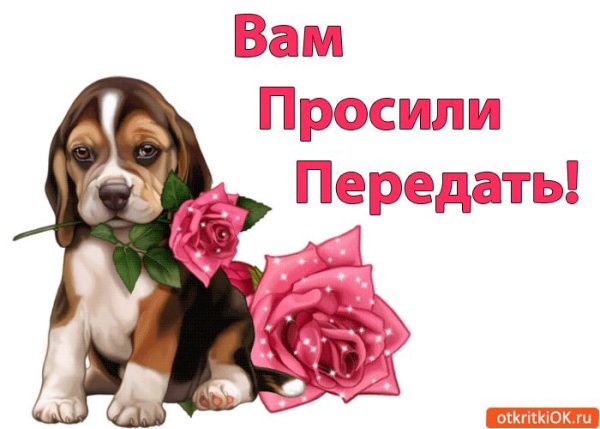 Открытка с собачкой"вам просили передать"