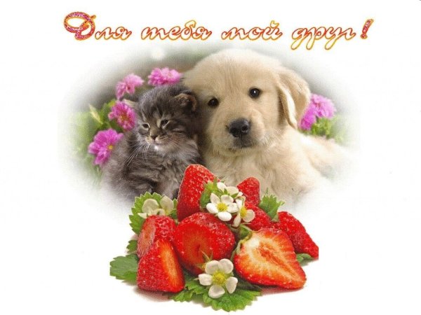 Красивые открытки для друзей