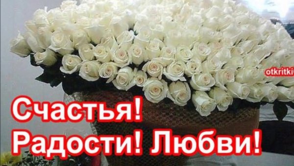 Счастья радости любви