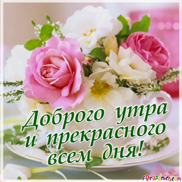 Нежные поздравления с добрым утром