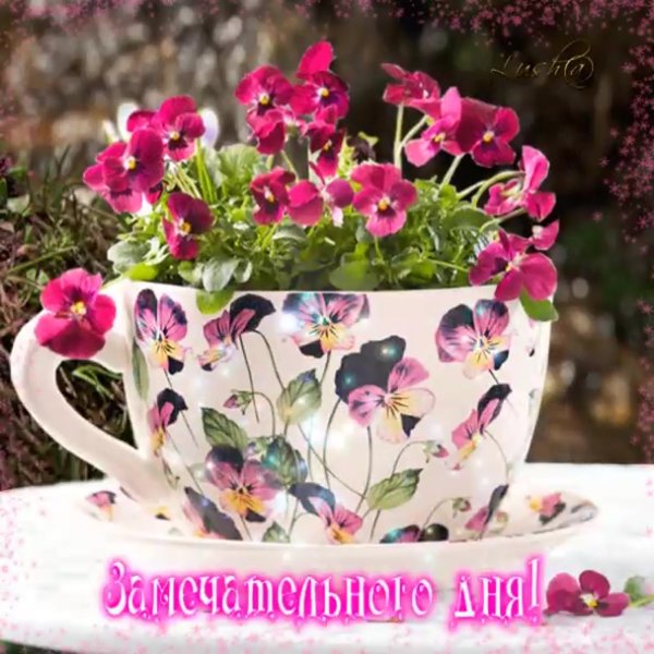 Чудесного летнего дня