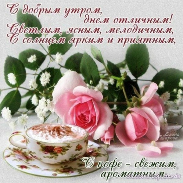 Доброго майского утра и хорошего дня